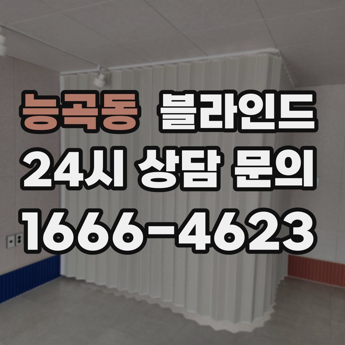 능곡동 블라인드