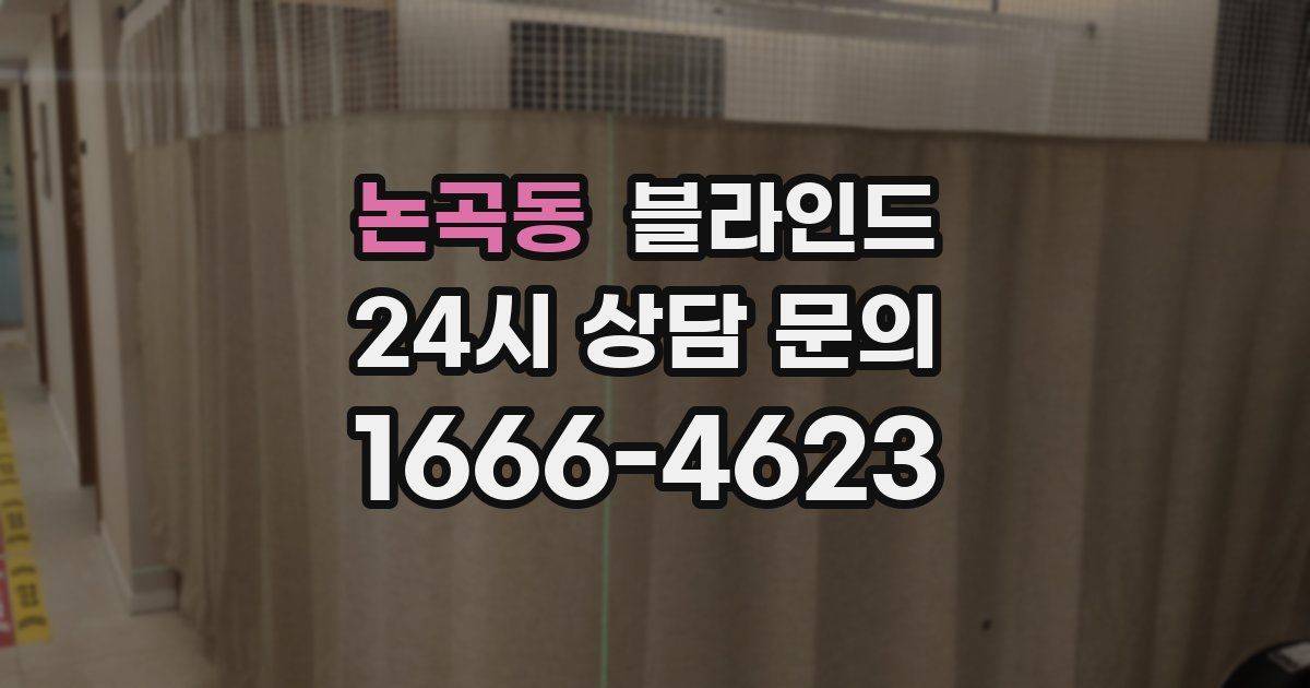 논곡동 블라인드