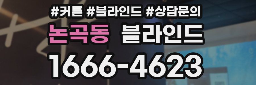 논곡동 블라인드
