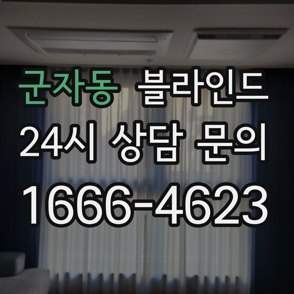 군자동 블라인드