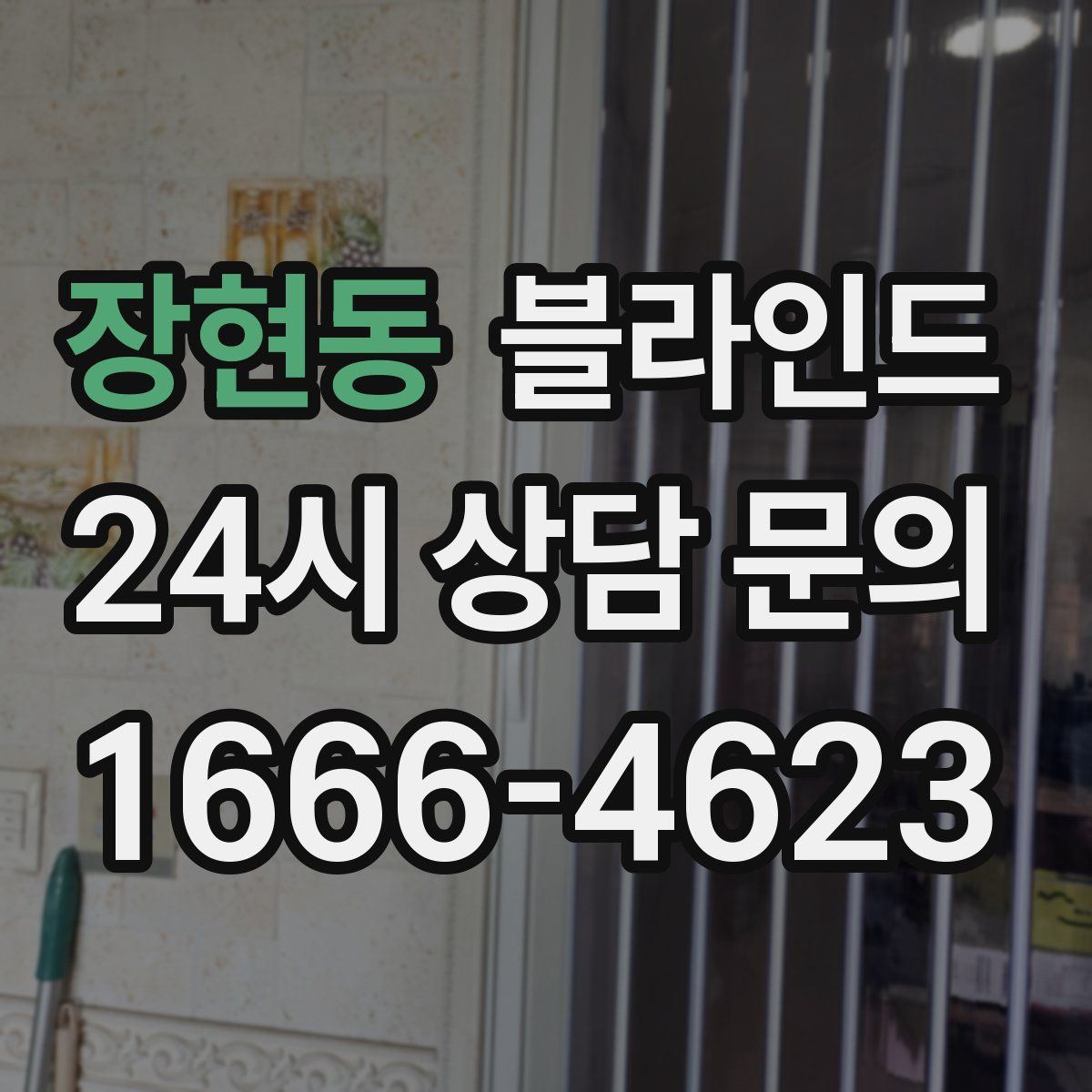 장현동 블라인드