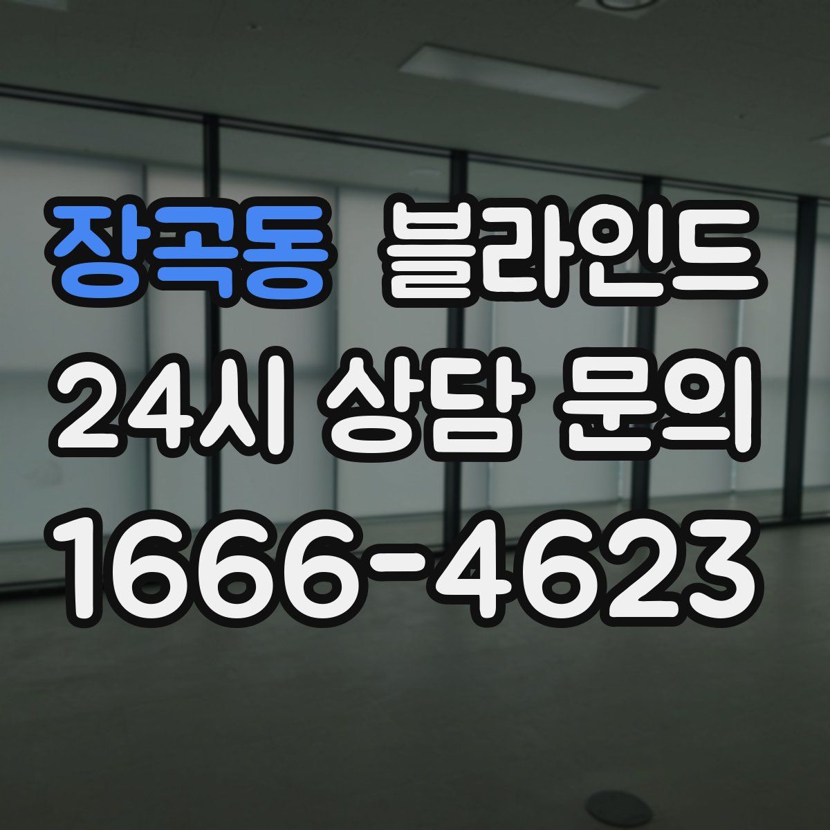 장곡동 블라인드