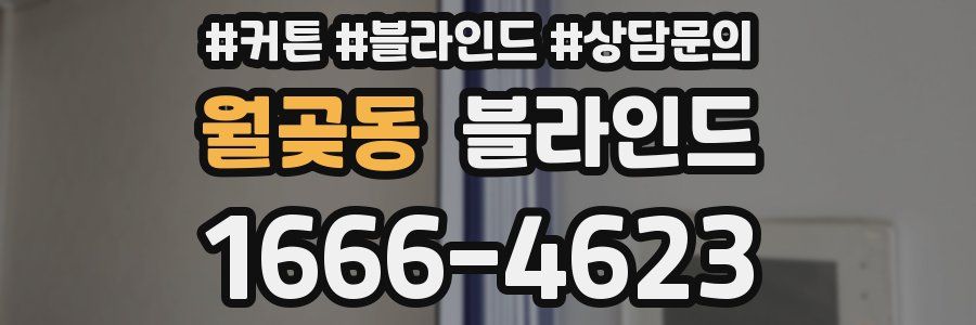 월곶동 블라인드