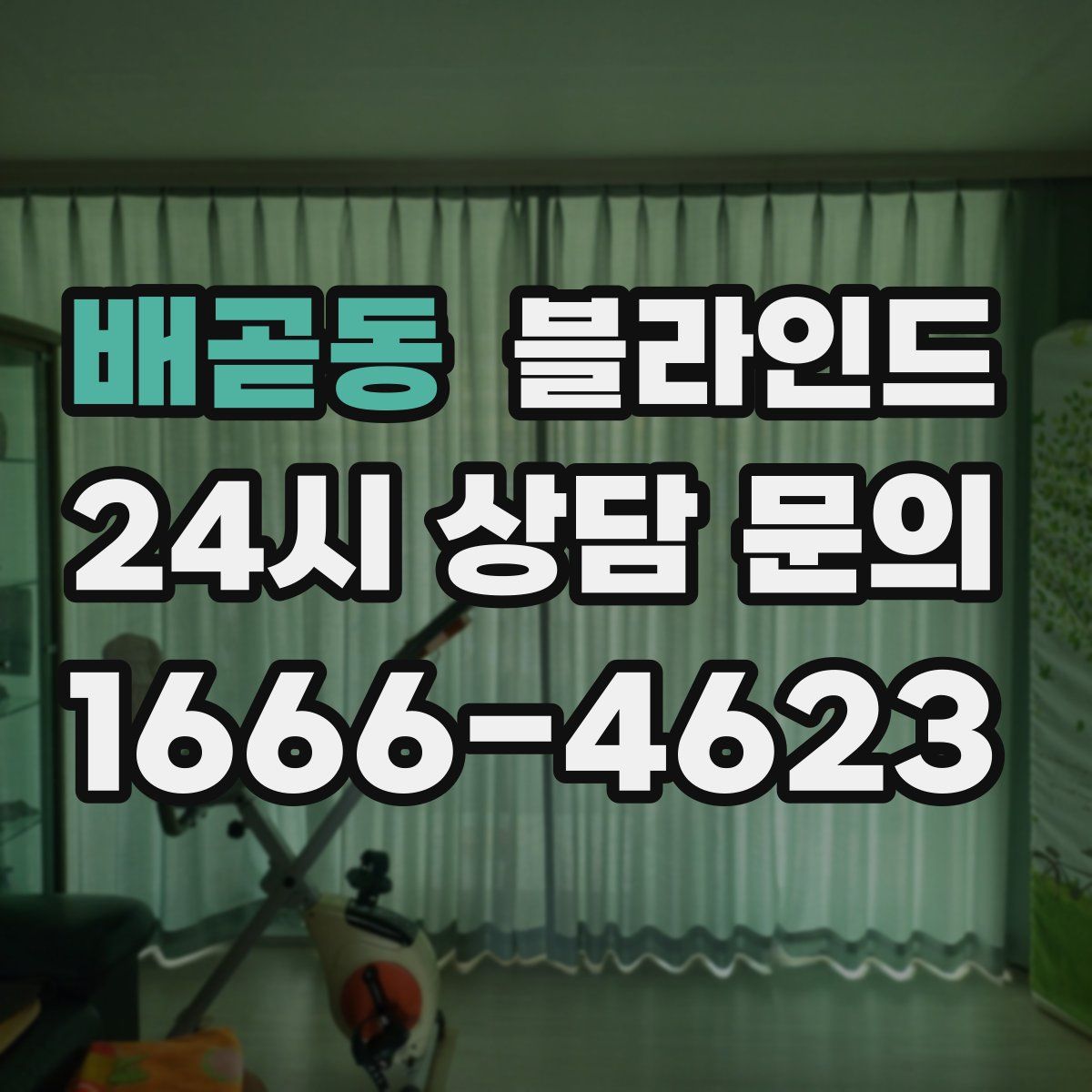 배곧동 블라인드