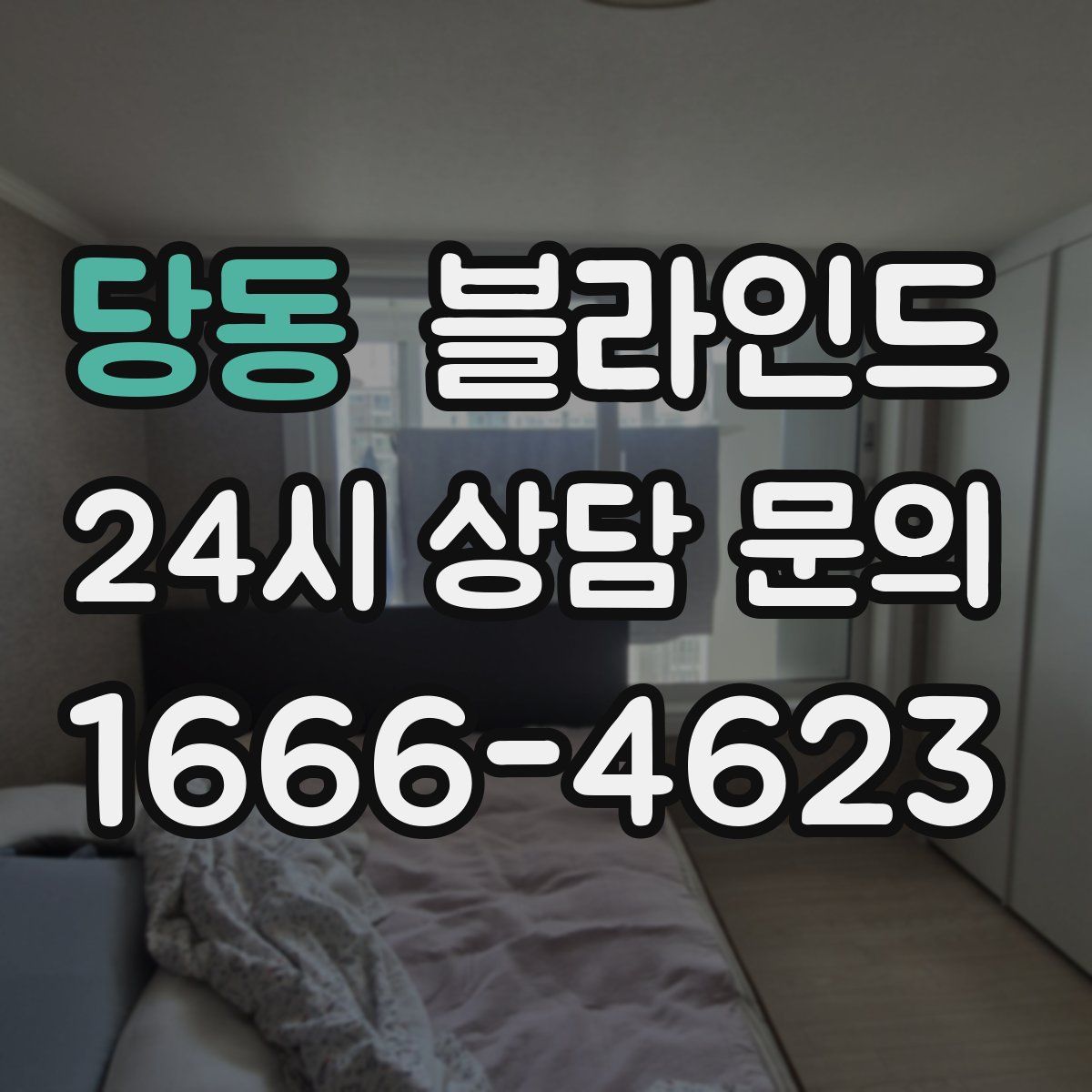 당동 블라인드
