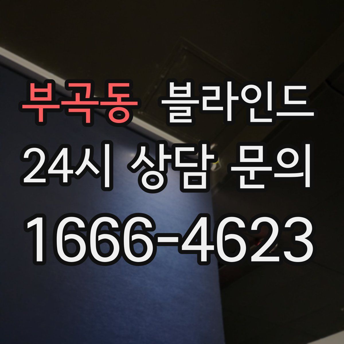 부곡동 블라인드