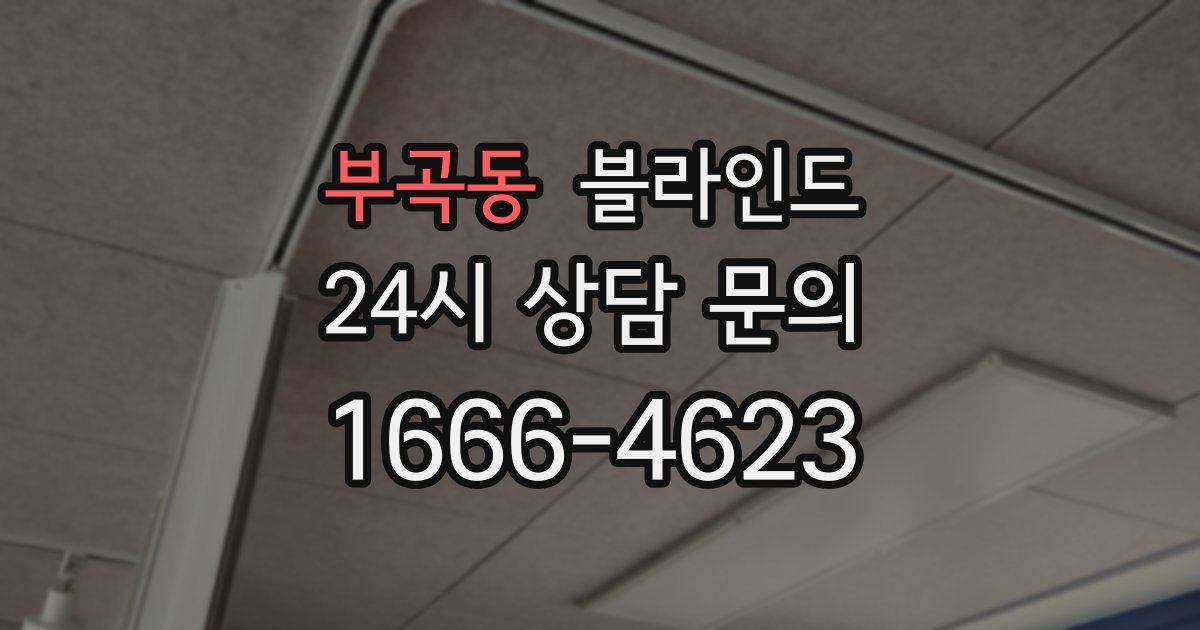 부곡동 블라인드