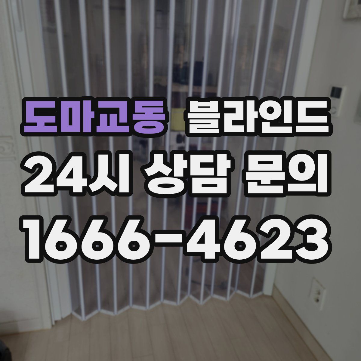 도마교동 블라인드