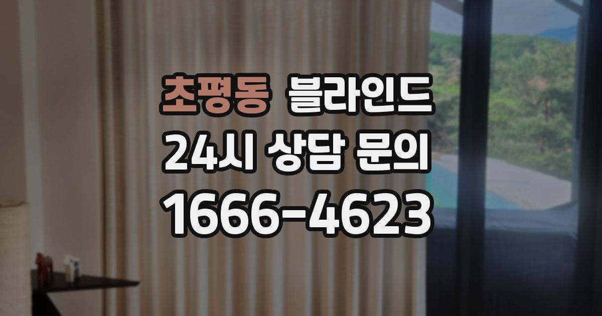 초평동 블라인드