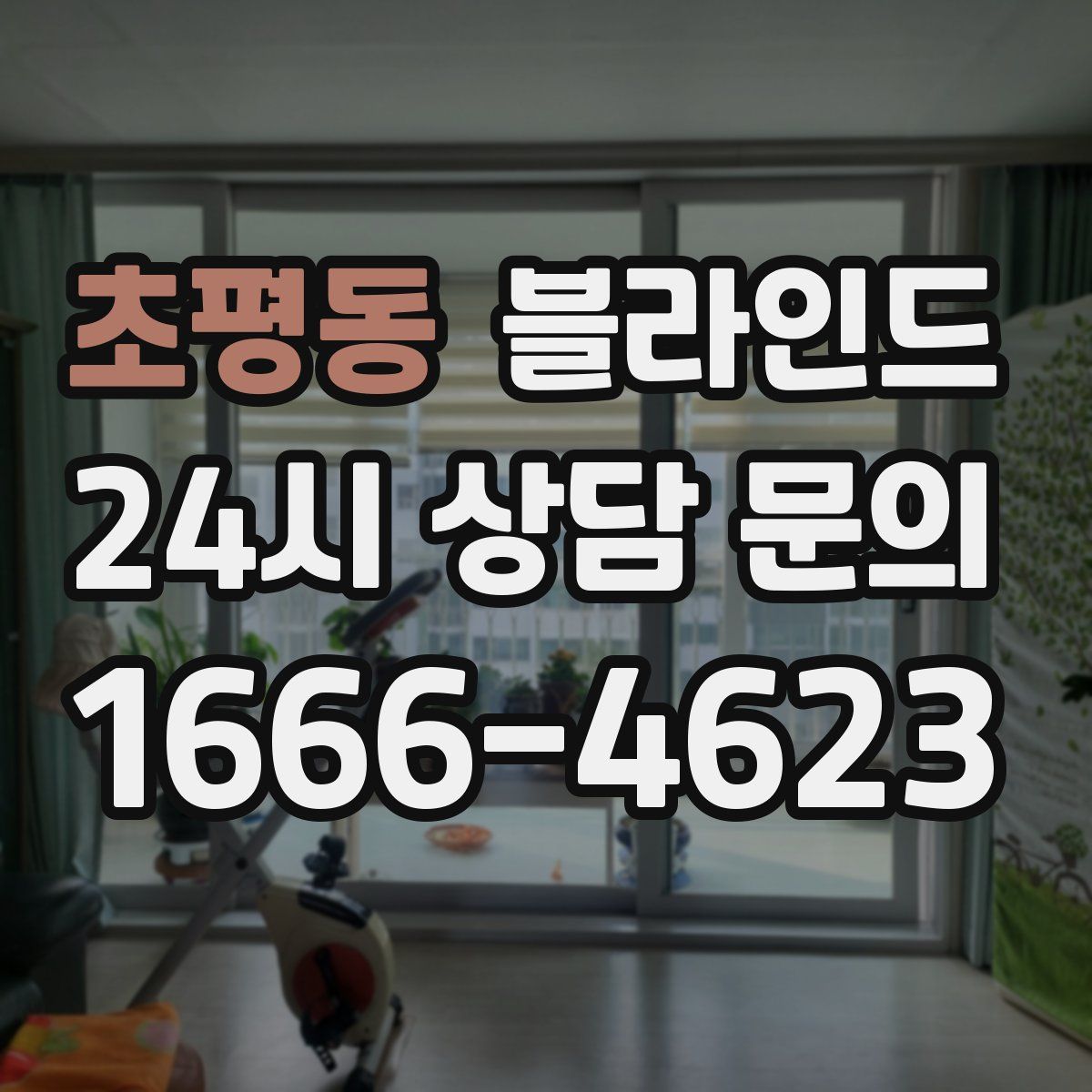초평동 블라인드