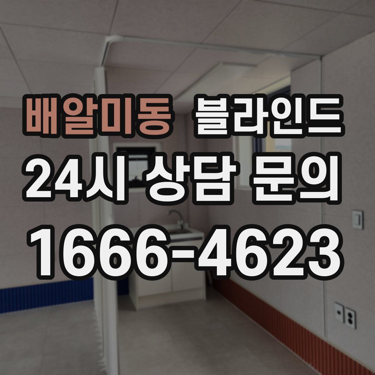 배알미동 블라인드
