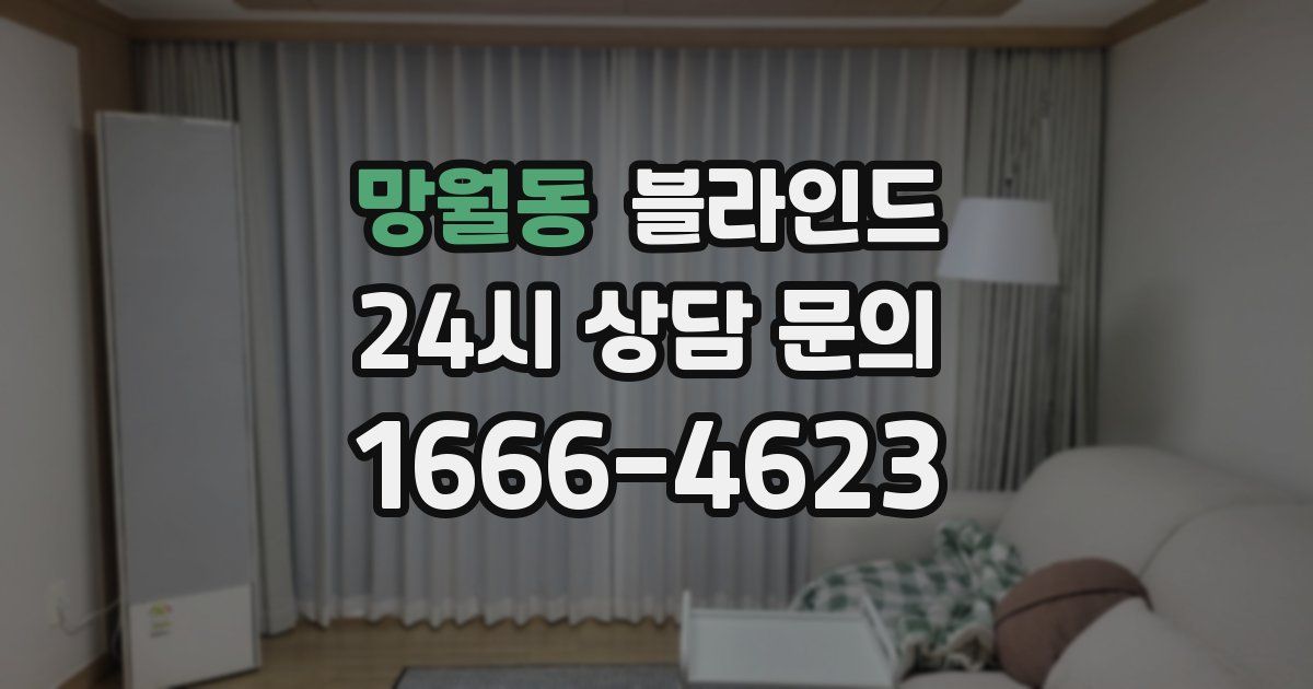 망월동 블라인드