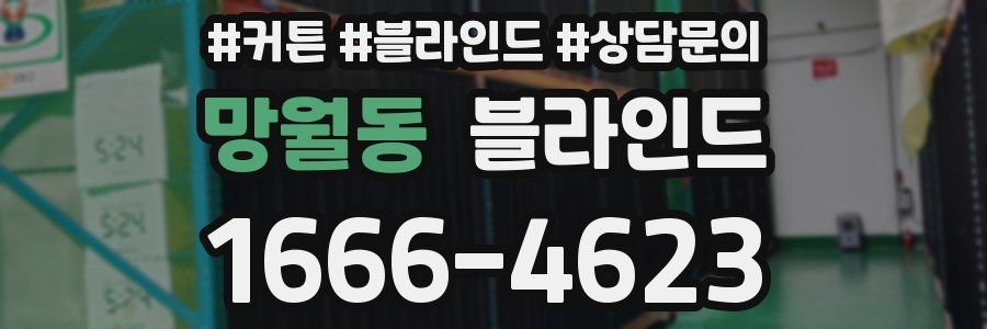 망월동 블라인드