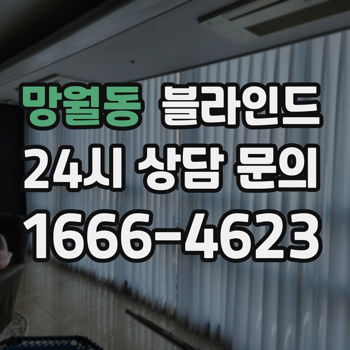 망월동 블라인드