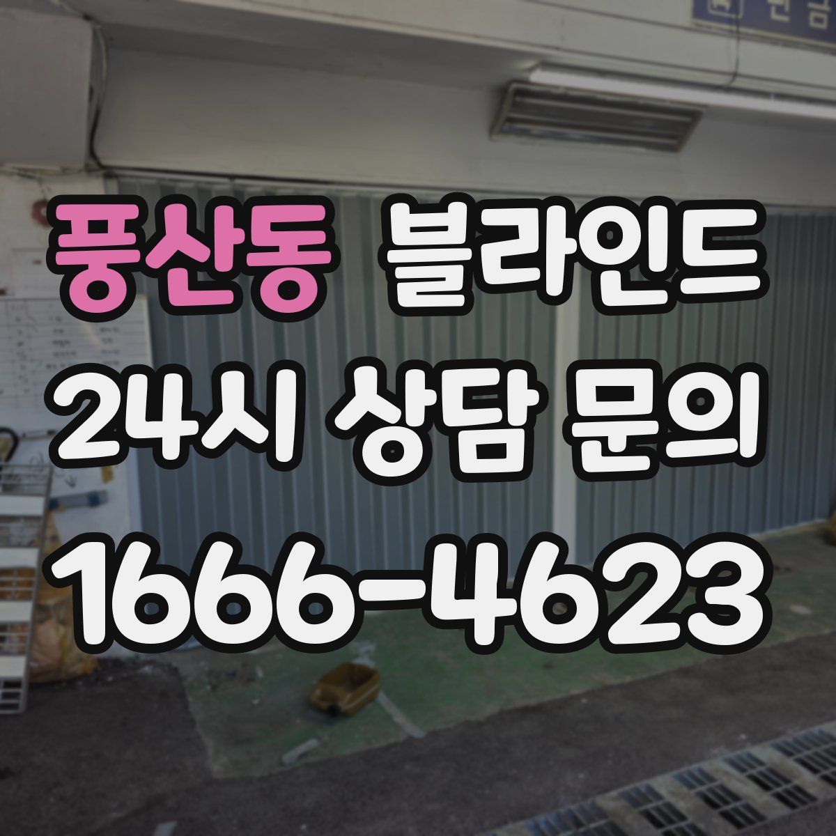 풍산동 블라인드