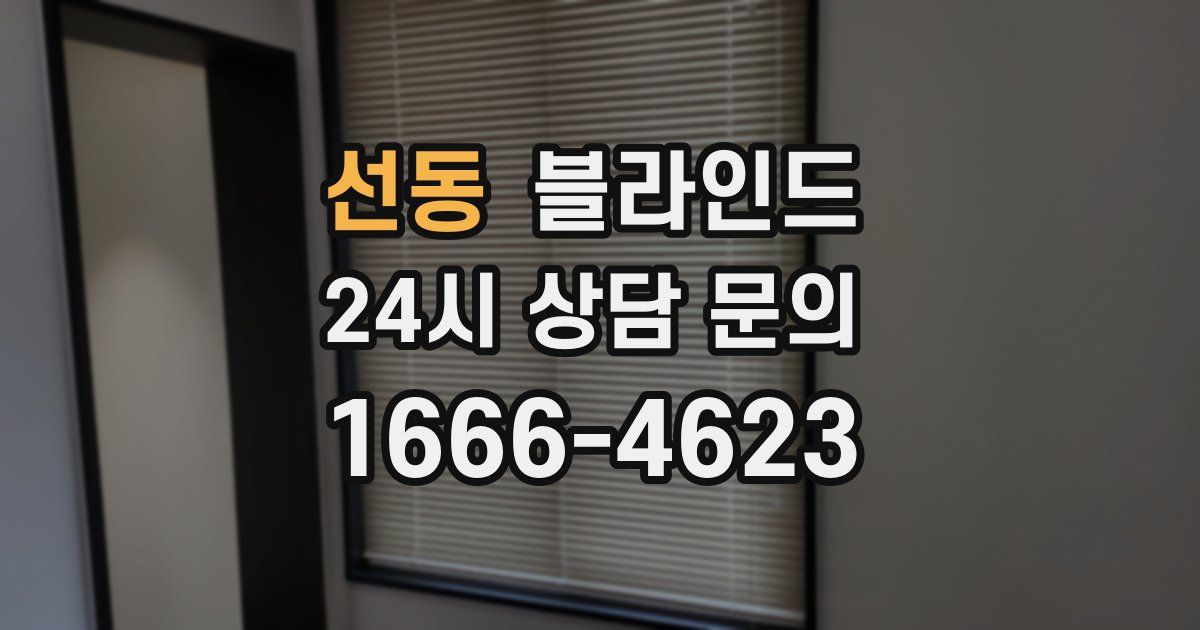 선동 블라인드