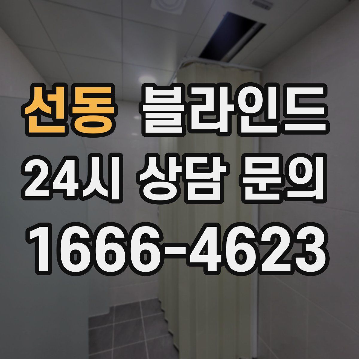 선동 블라인드