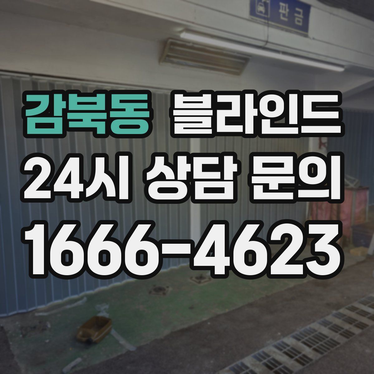 감북동 블라인드