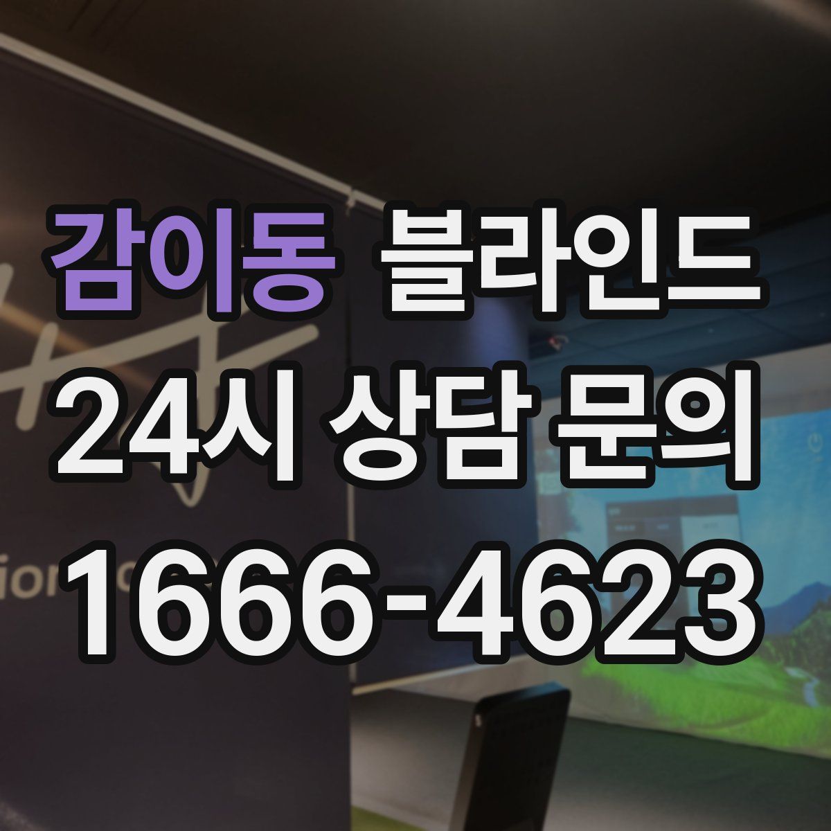 감이동 블라인드