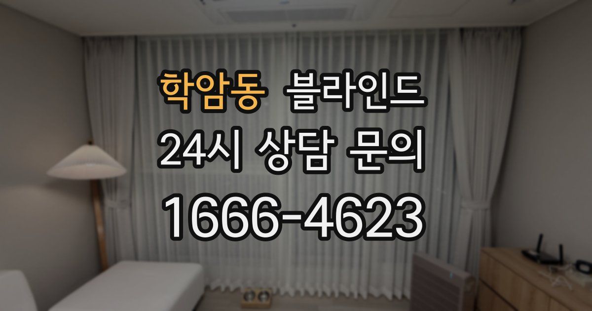 학암동 블라인드