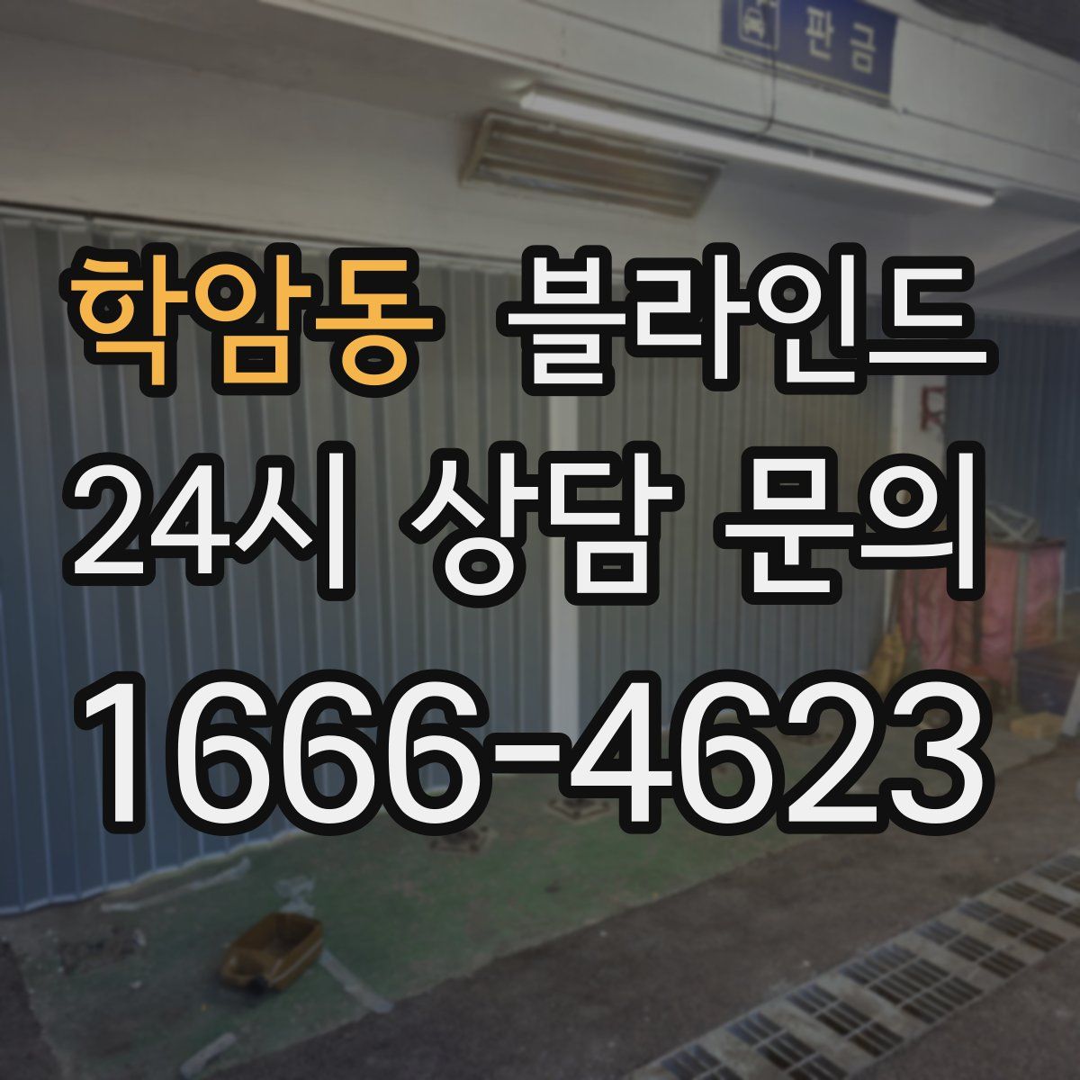 학암동 블라인드