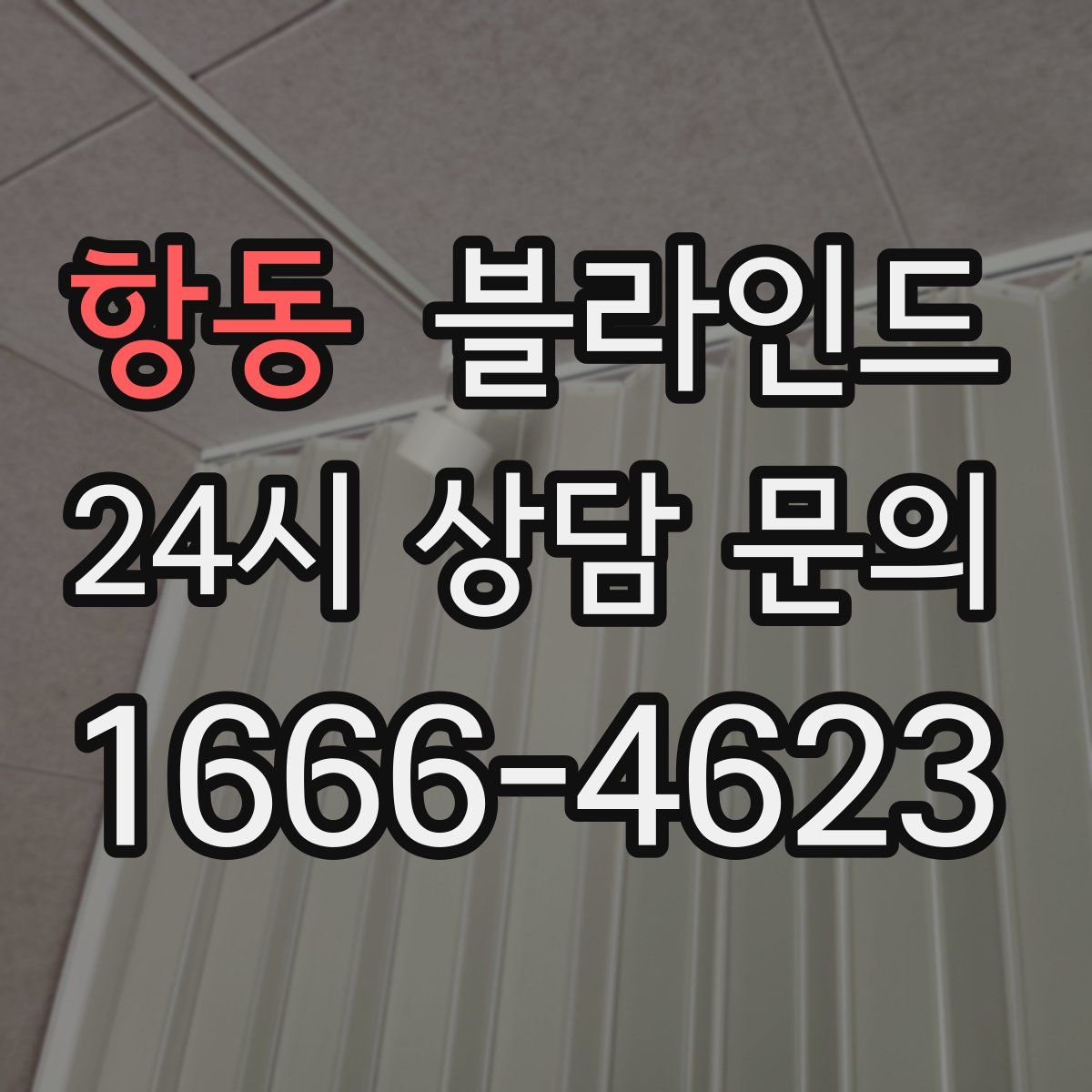 항동 블라인드