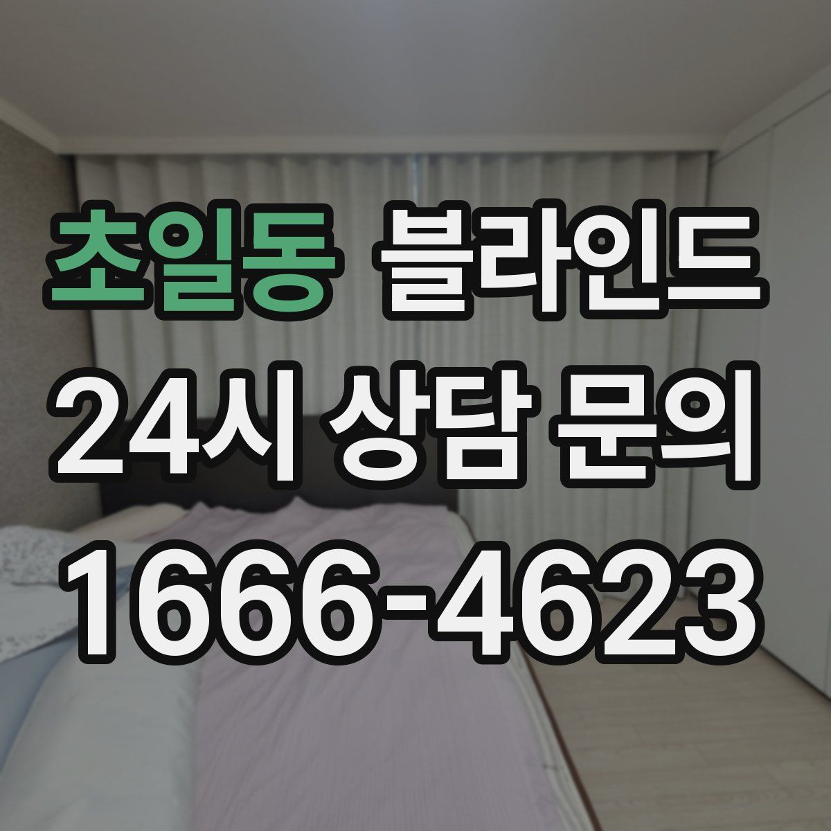 초일동 블라인드