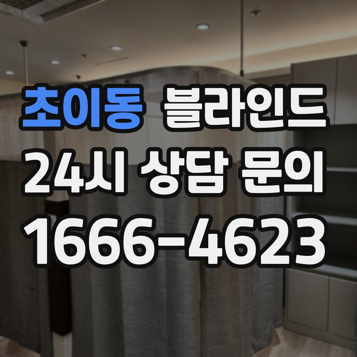 초이동 블라인드