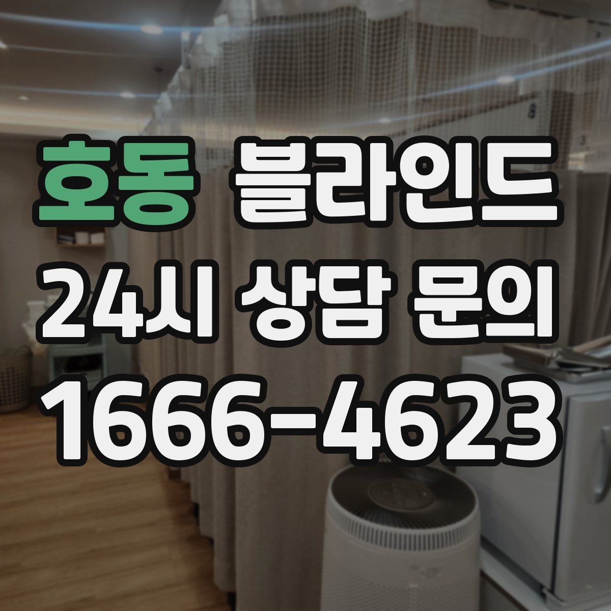 호동 블라인드