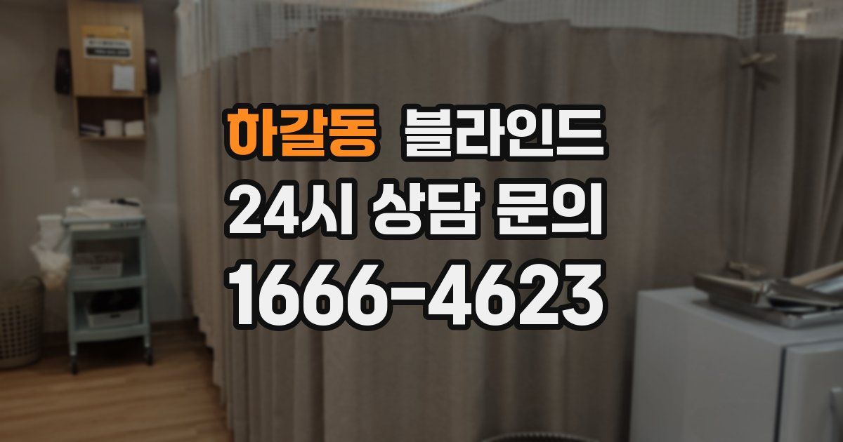 하갈동 블라인드