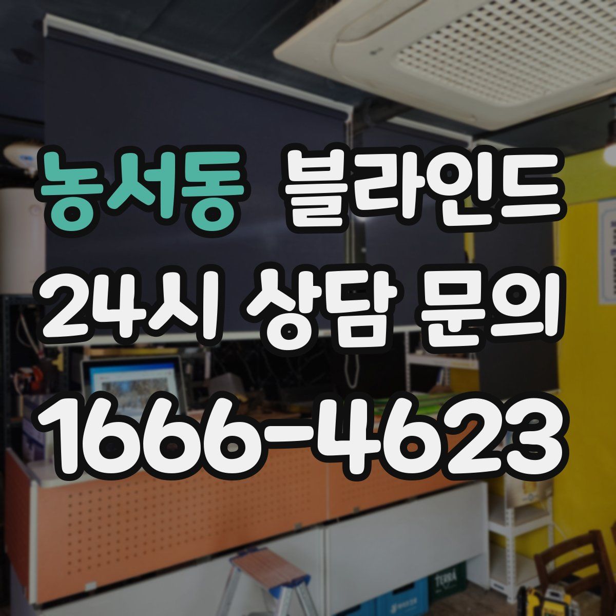 농서동 블라인드