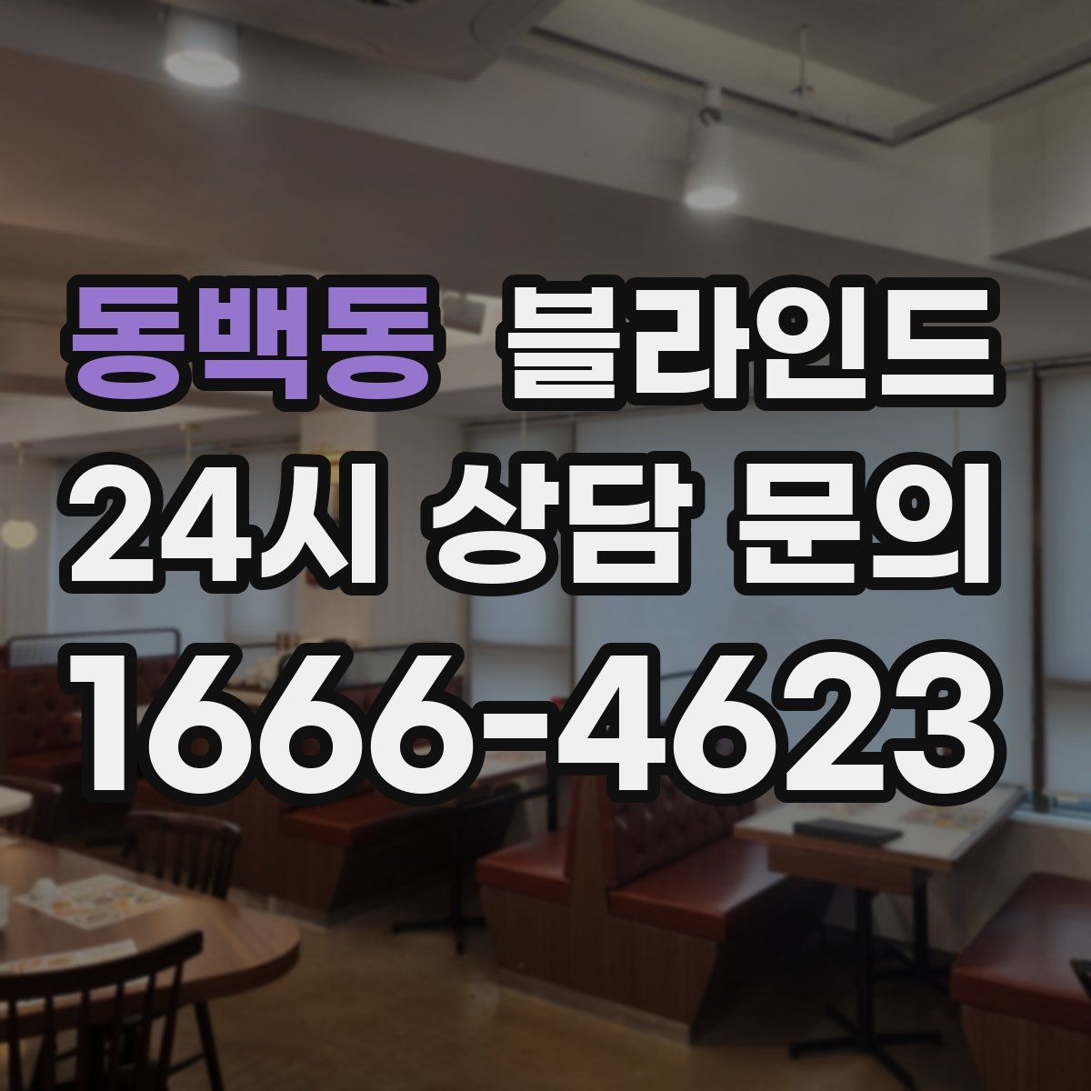 동백동 블라인드