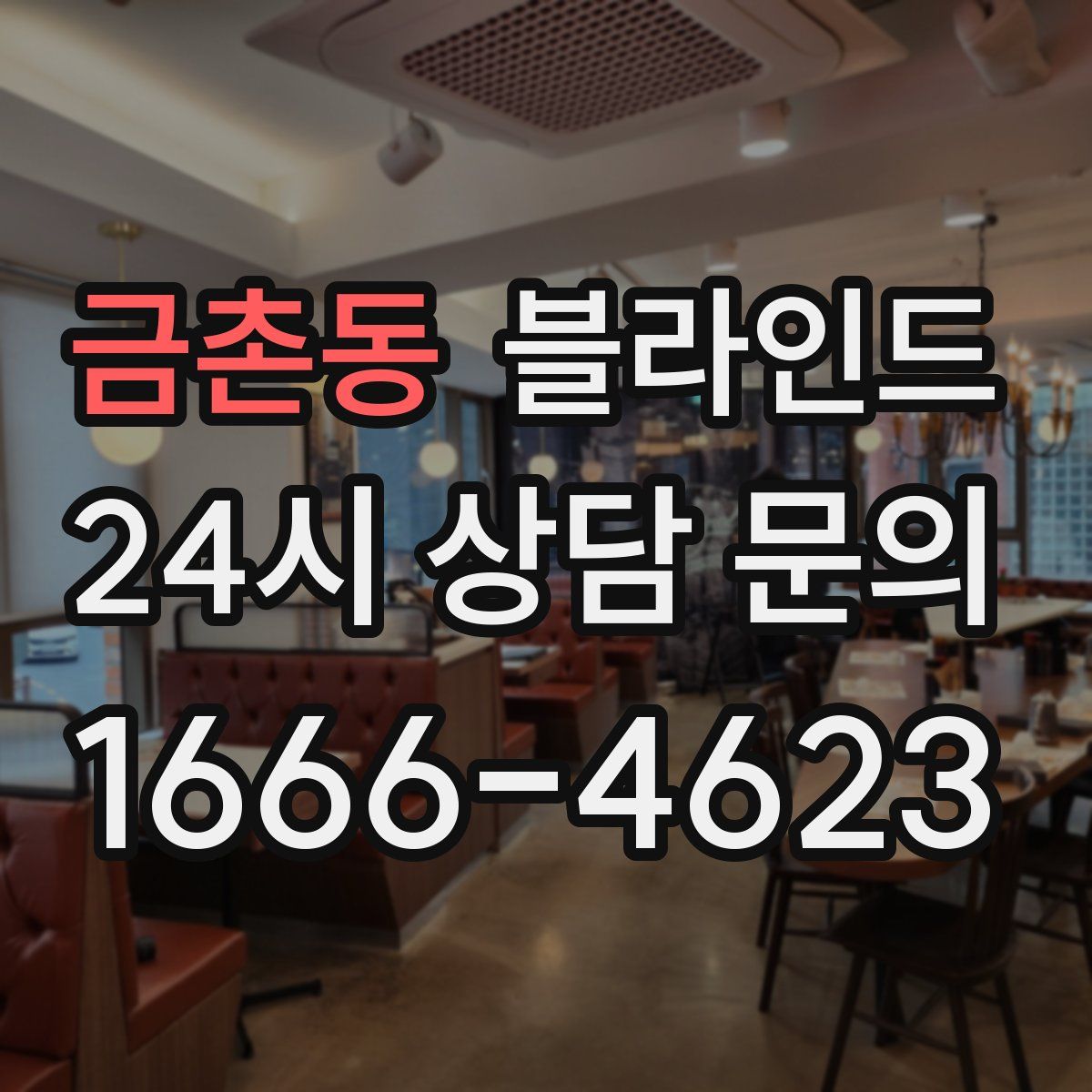 금촌동 블라인드