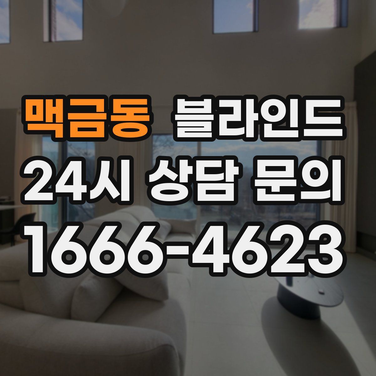 맥금동 블라인드