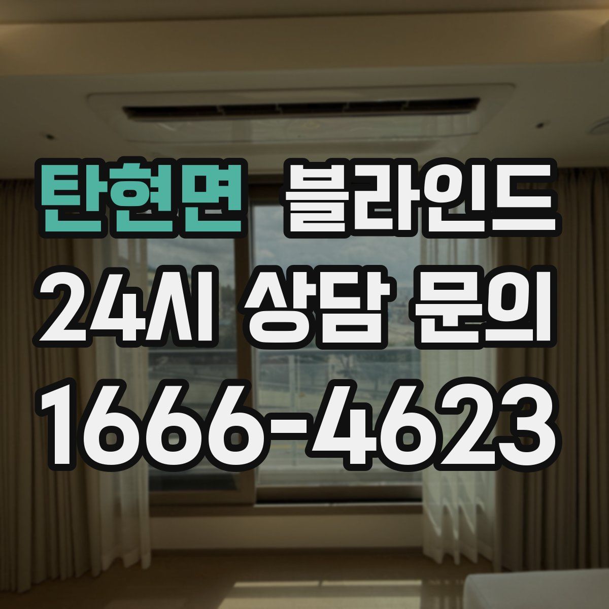 탄현면 블라인드