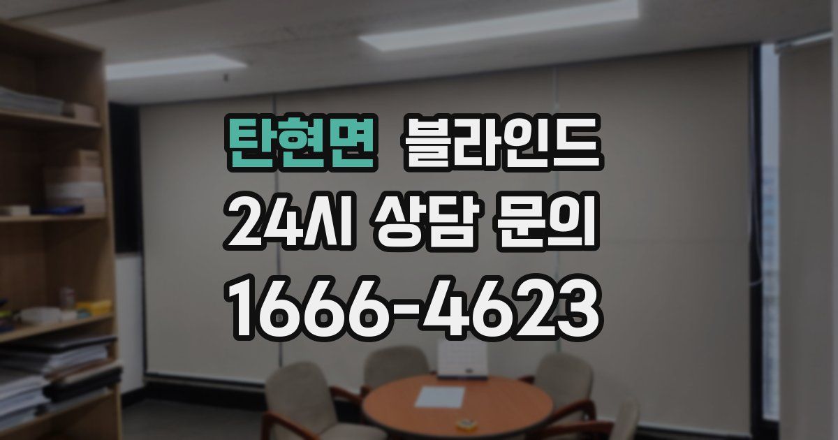 탄현면 블라인드