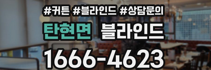 탄현면 블라인드