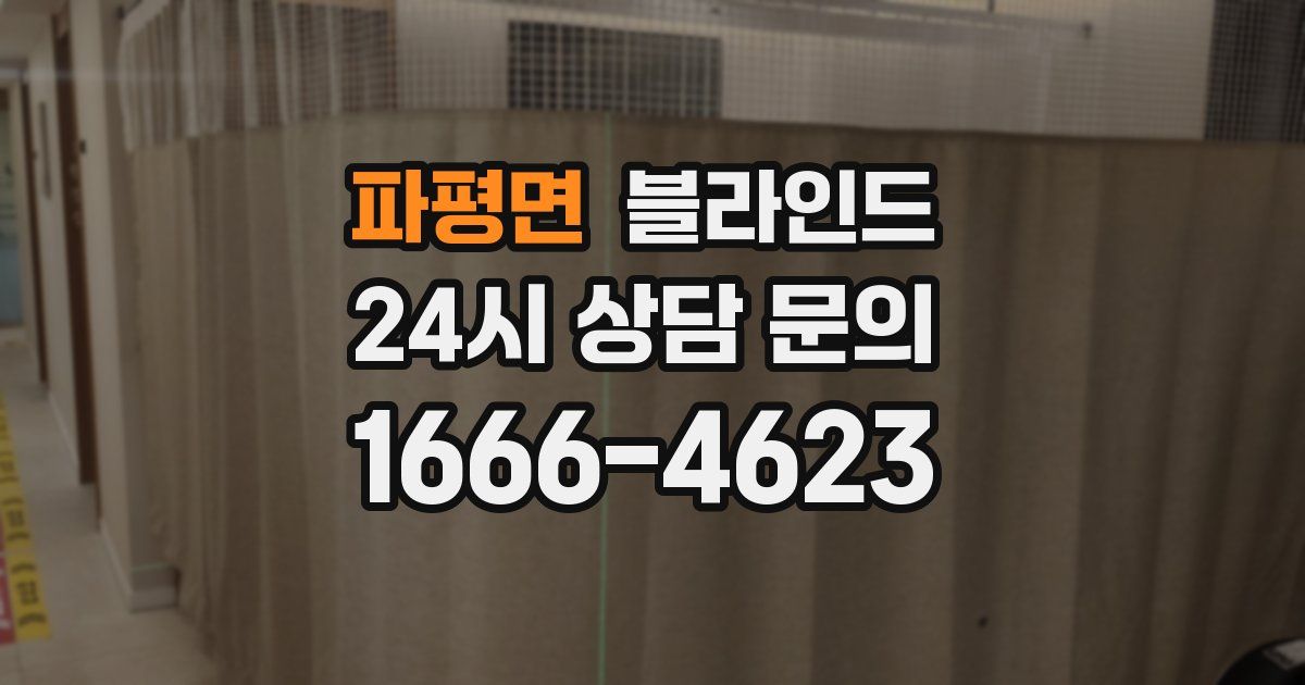 파평면 블라인드