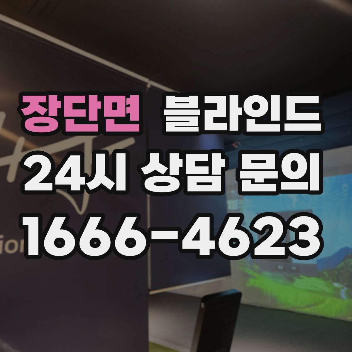 장단면 블라인드
