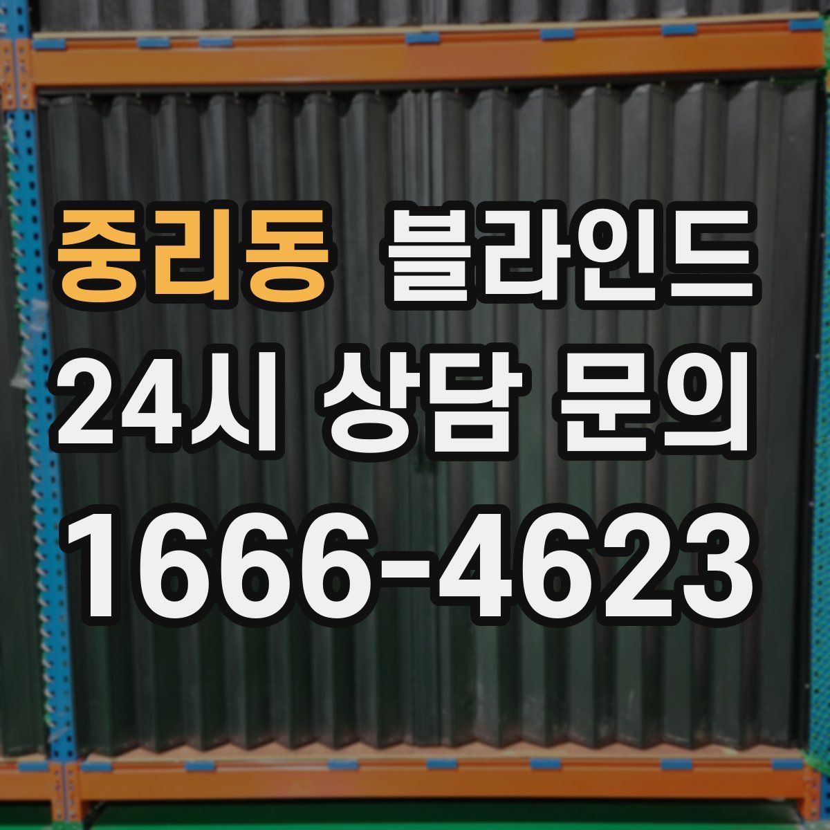 중리동 블라인드
