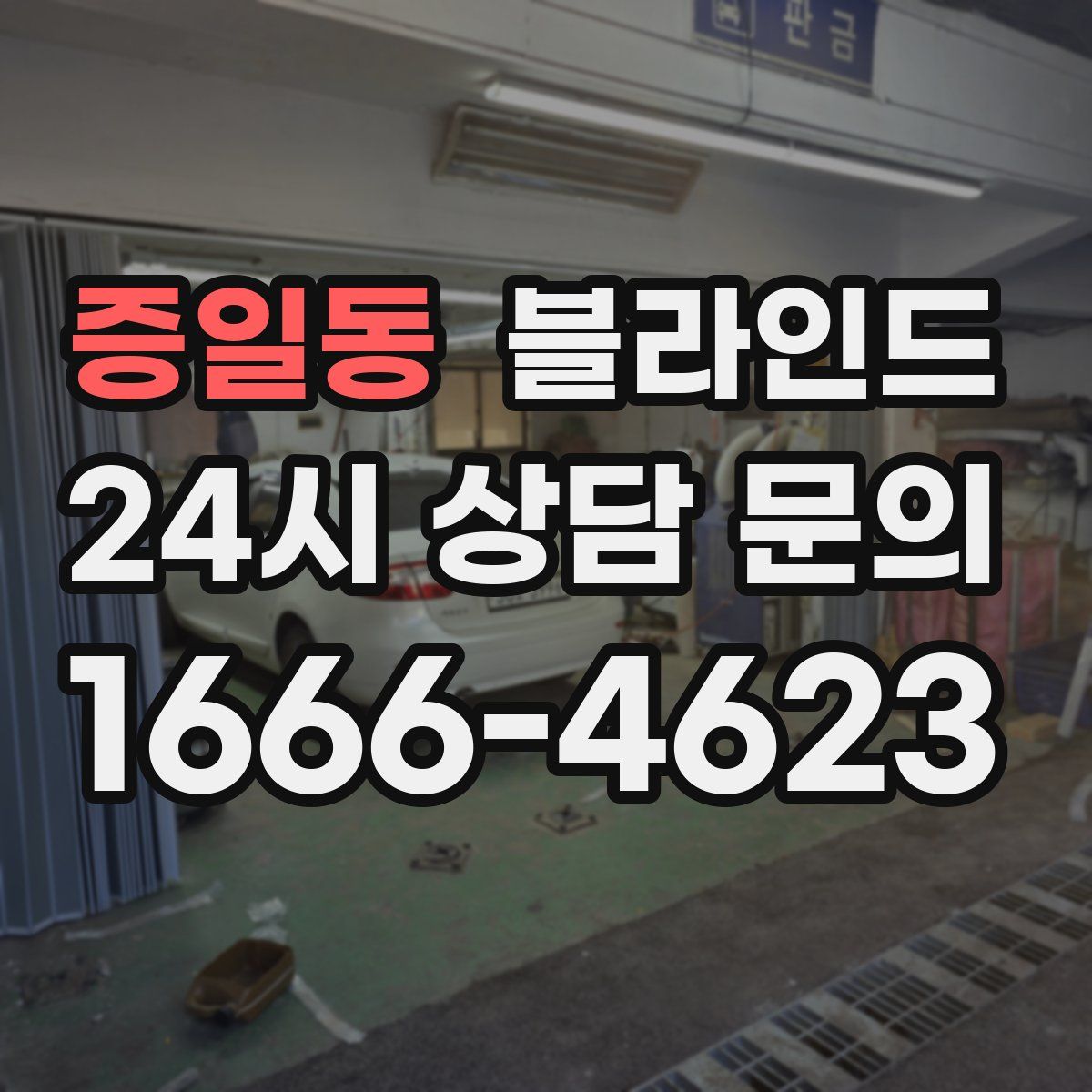 증일동 블라인드