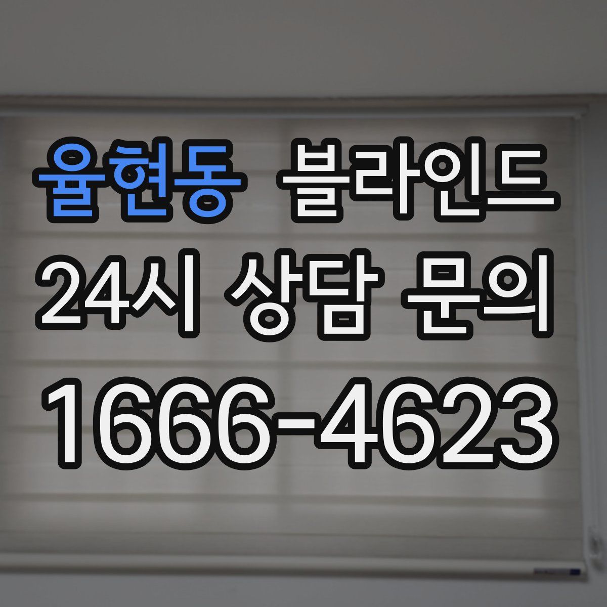 율현동 블라인드
