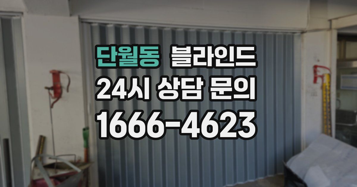 단월동 블라인드