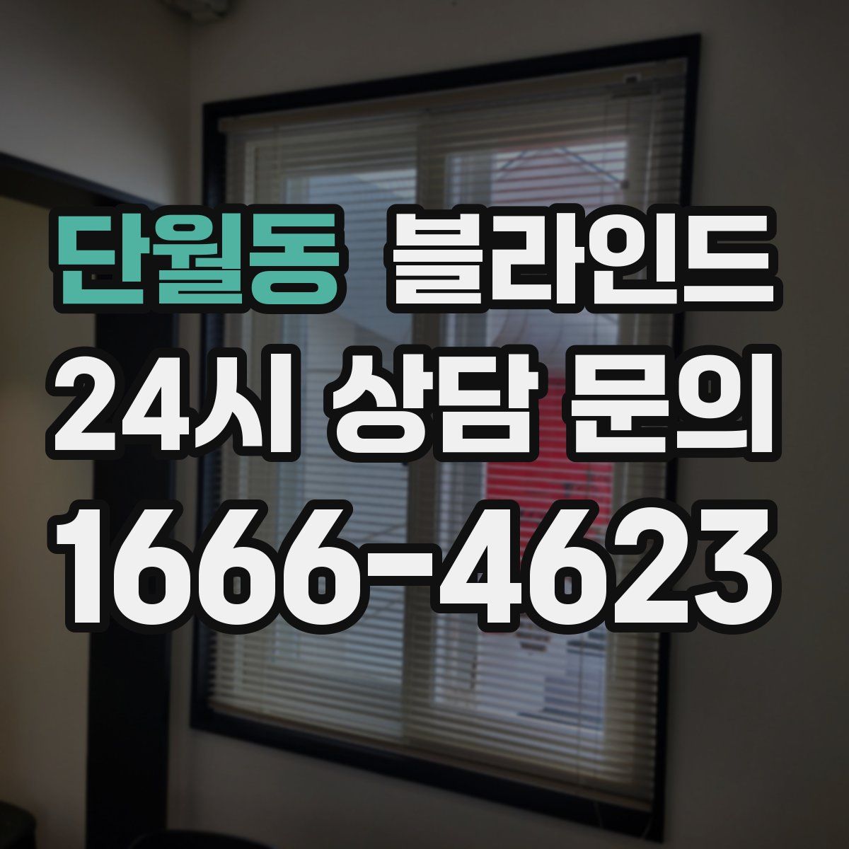 단월동 블라인드