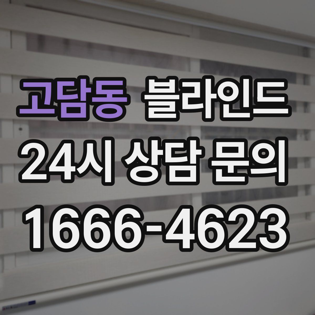 고담동 블라인드