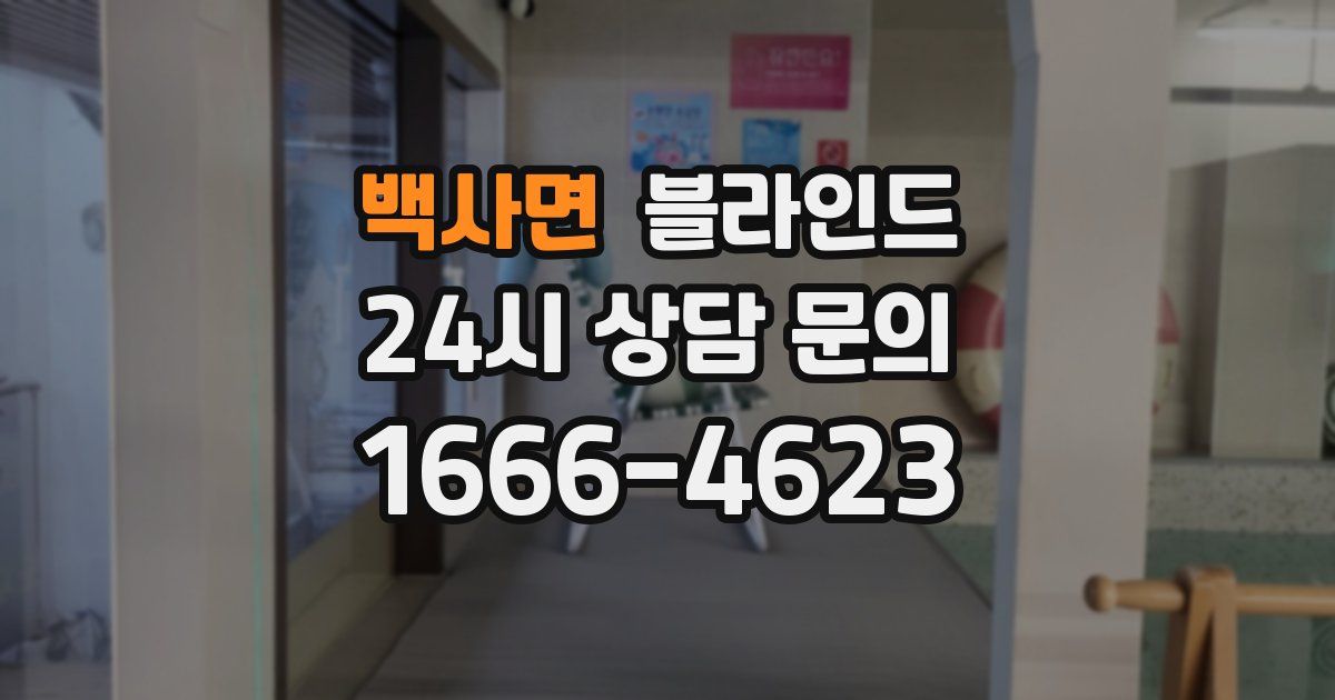 백사면 블라인드