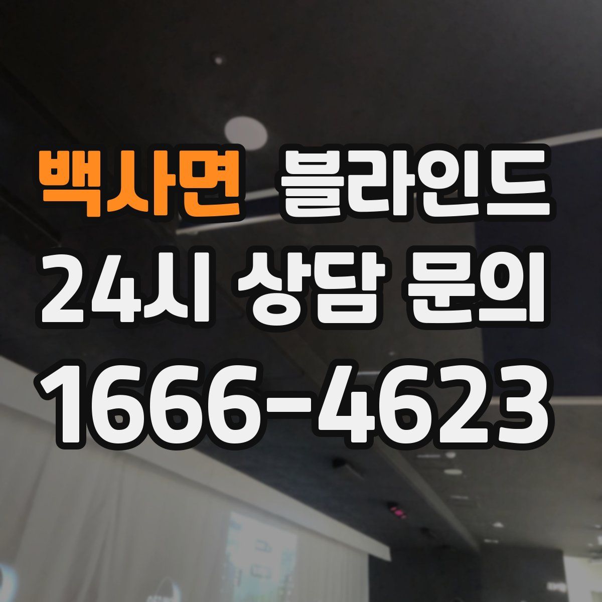 백사면 블라인드