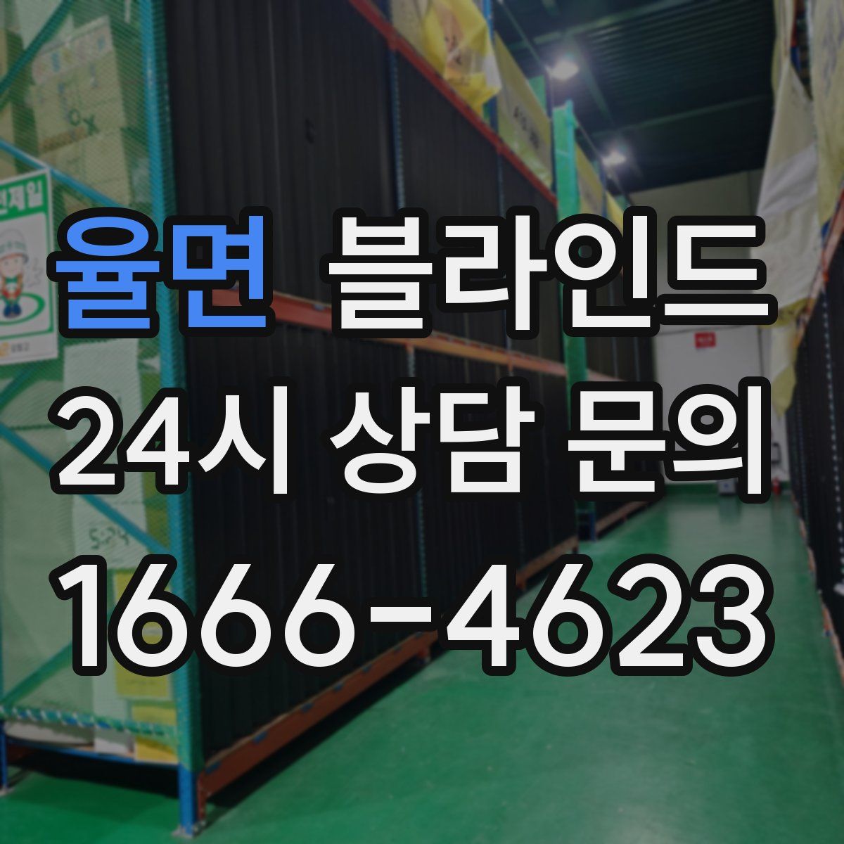 율면 블라인드