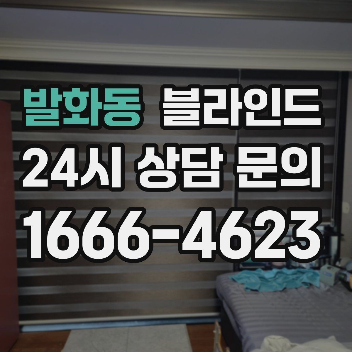 발화동 블라인드 반려동물과 함께 살 때 체크할 점