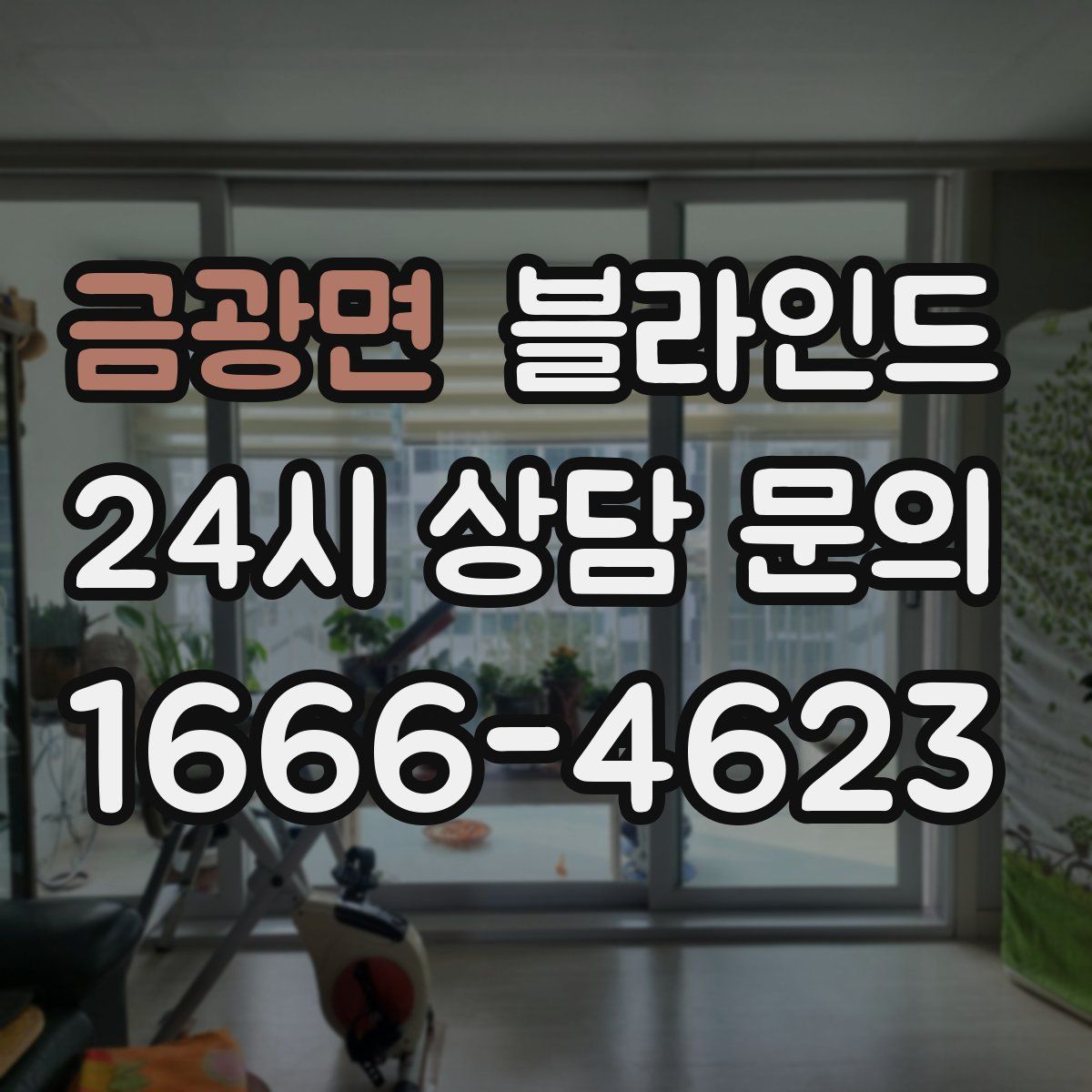 금광면 블라인드